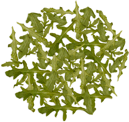 Gražgarstės 25g 32cm paveikslėlis