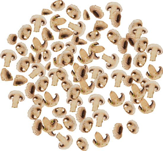 Pievagrybiai 40g 24cm paveikslėlis